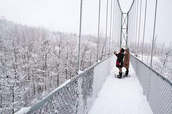 برف نوردی برروی پل معلق ، دو ساعت تا تورنتو