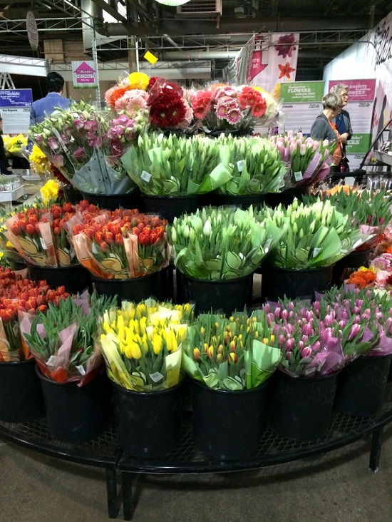 تورنتو | بازار گل و گیاه امروز در نورت یورک