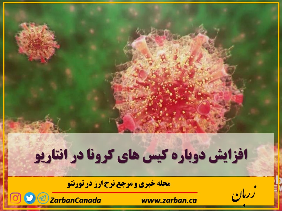 زندگی در تورنتو | افزایش دوباره آمارهای کورنای انتاریو در پانزدهم دسامبر