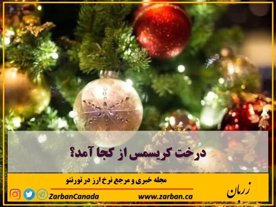 مطالب سایرسایتها | درخت کریسمس از کجا آمد