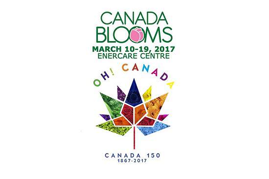 تورنتو | فستیوال Canada Blooms آخرهفته در تورنتو