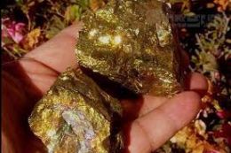 اخبار، نرخ طلا | تولید 134 کیلوگرم شمش طلا در زرشوران