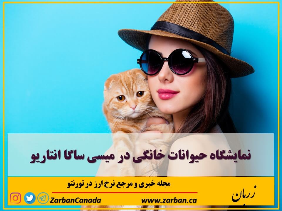 رویدادها | نمایشگاه حیوانات خانگی در میسی ساگا انتاریو