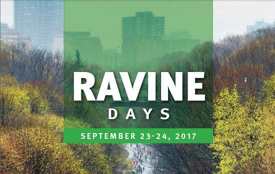 رویدادها | رویداد Ravine Days از 23 تا 24 سپتامبر در  تورنتو