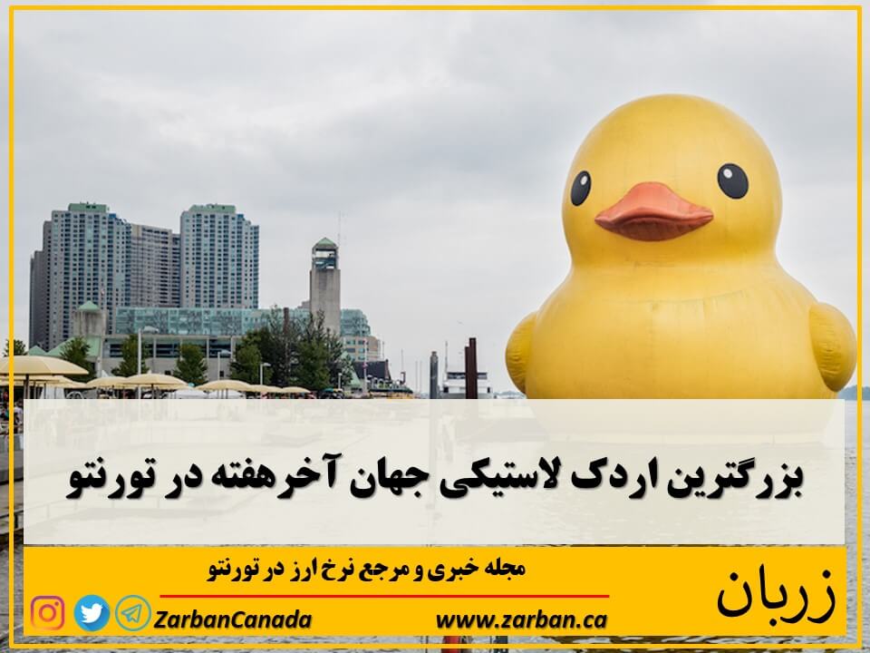 جاذبه گردشگری تورنتو | بزرگترین اردک لاستیکی جهان آخرهفته به تورنتو میرسید