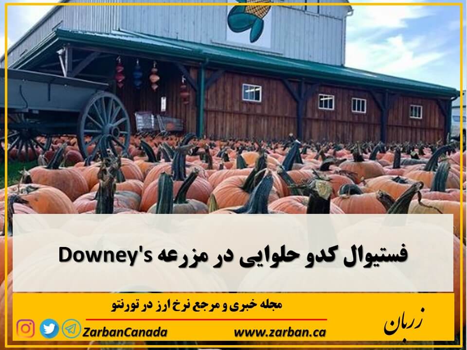 جاذبه گردشگری تورنتو | فستیوال کدوحلوایی در مزرعه Downey's