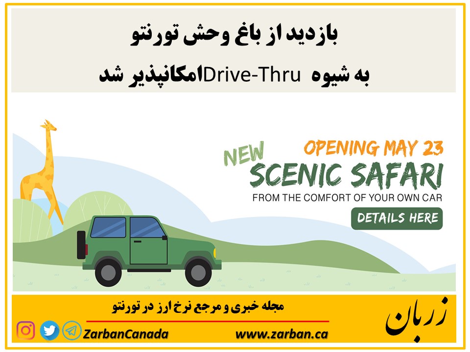 جاذبه گردشگری تورنتو | بازدید از باغ وحش تورنتو به شیوه Drive-Thru امکانپذیر شد