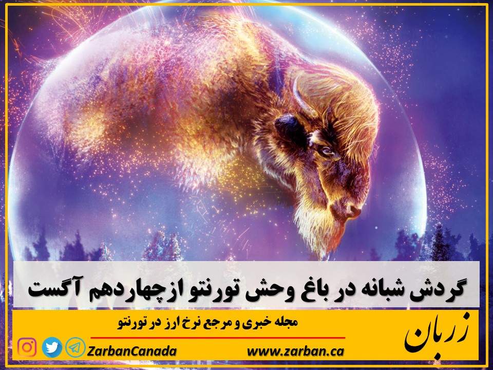 رویدادها | گردش شبانه در باغ وحش تورنتو از چهاردهم آگست آغاز میشود