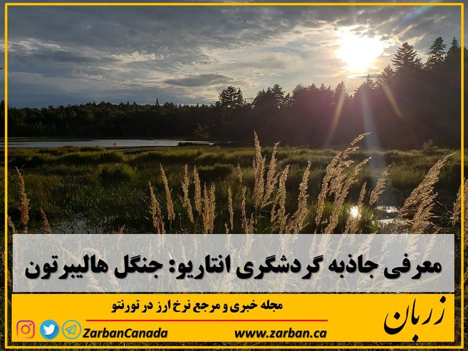 جاذبه گردشگری تورنتو | معرفی جنگل و پناهگاه حیات وحش هالیبرتون در انتاریو