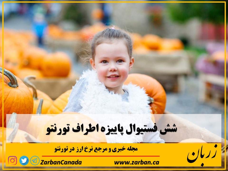 جاذبه گردشگری تورنتو | شش فستیوال پاییزه در مزرعه های اطراف تورنتو