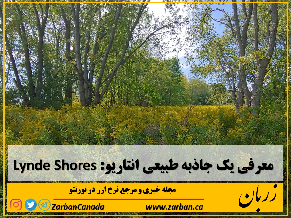 جاذبه گردشگری تورنتو | معرفی جاذبه طبیعی Lynde Shores Conservation انتاریو