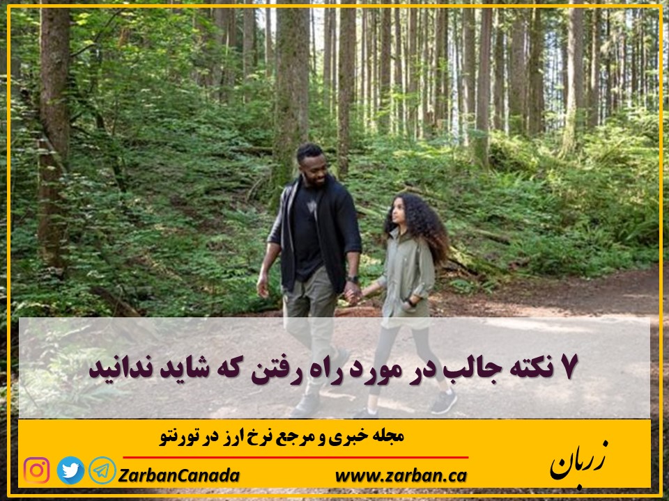 مطالب سایرسایتها | ۷ نکته جالب در مورد راه رفتن که شاید ندانید
