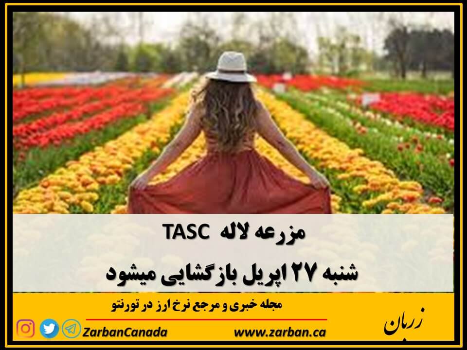 جاذبه گردشگری تورنتو | مزرعه لاله TASC بیست و هفتم اپریل بازگشایی میشود