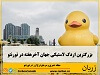 شانزدهم و هفدهم سپتامبر و همزمان با آغاز فستیوال Toronto Waterfront، میتوانید بزرگترین اردک لاستیکی جهان را بار دیگر در تورنتو تماشا کنید.