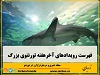 برنامه های خانوادگی پانزدهم تا هفدهم فوریه